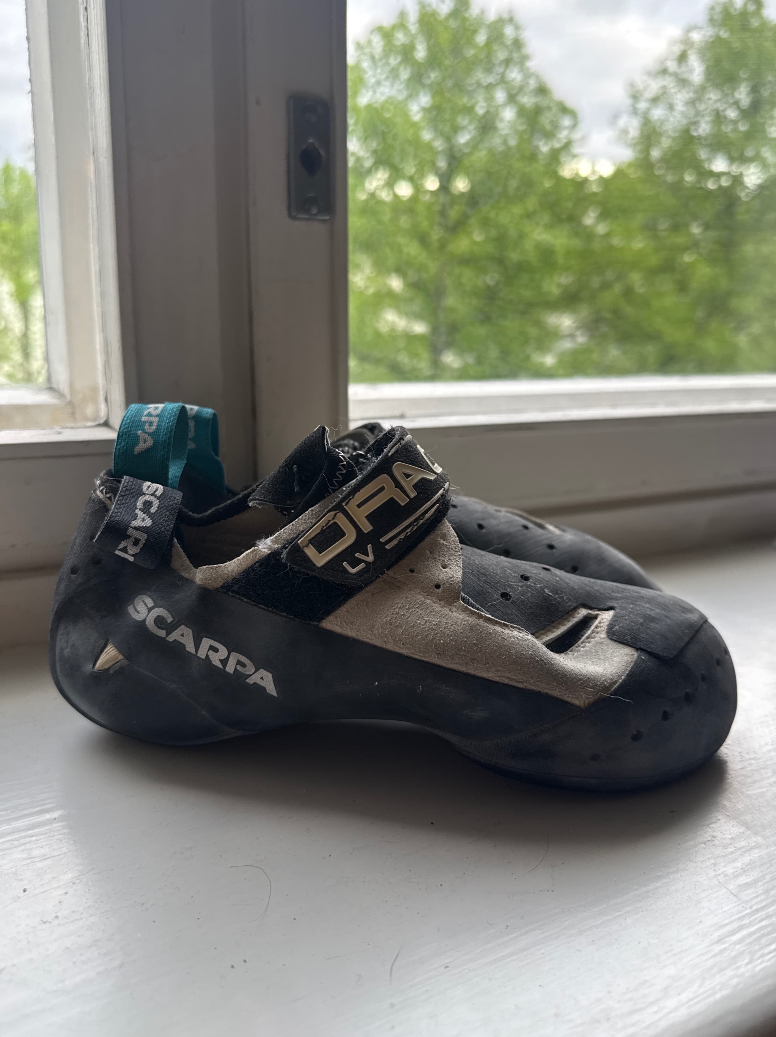 Scarpa Drago LV